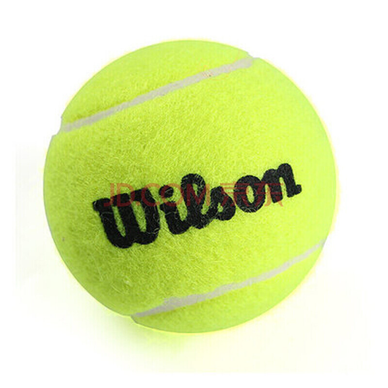 为他提供了 为他提供了