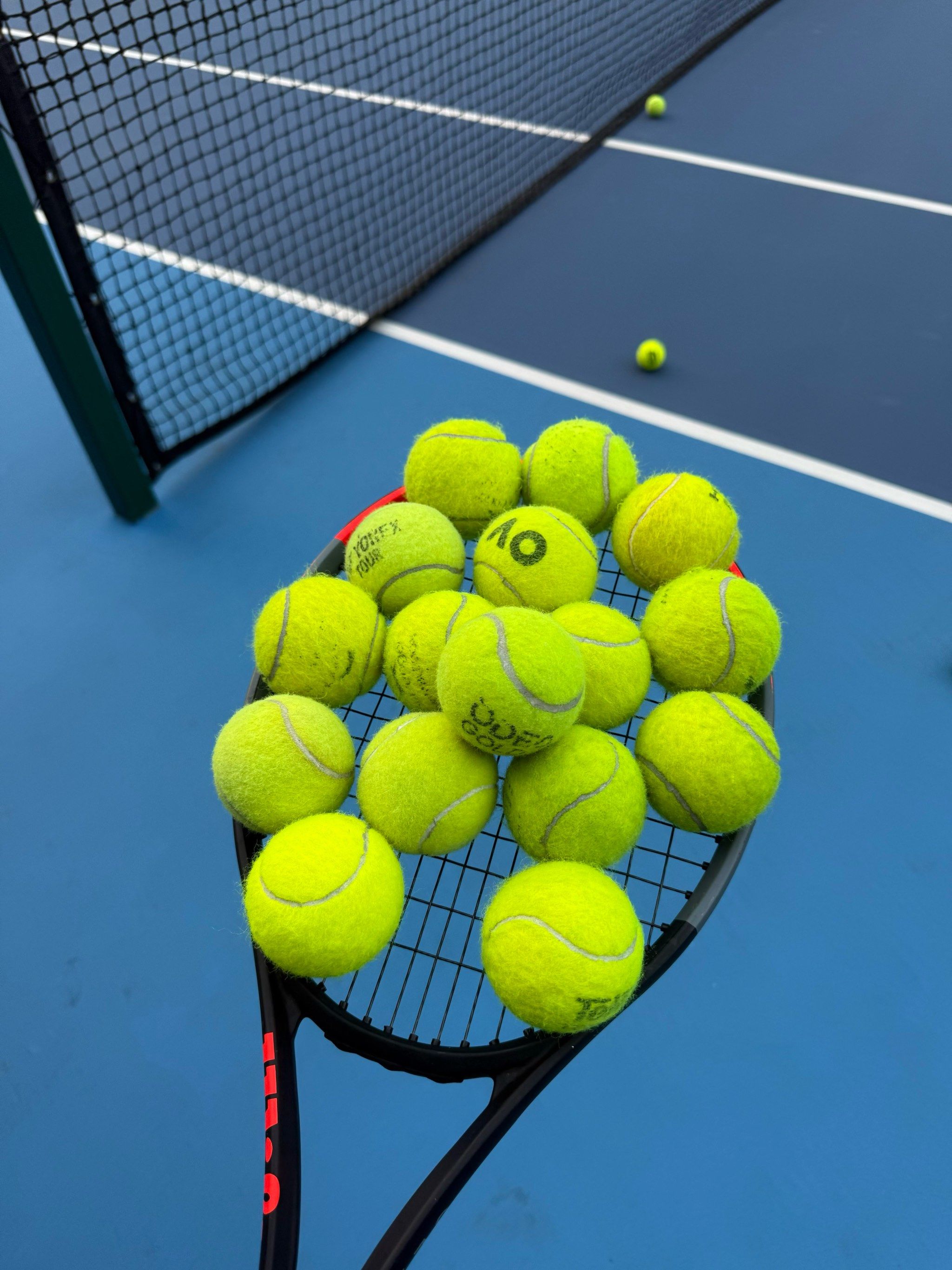 在今年的冬 在今年的冬