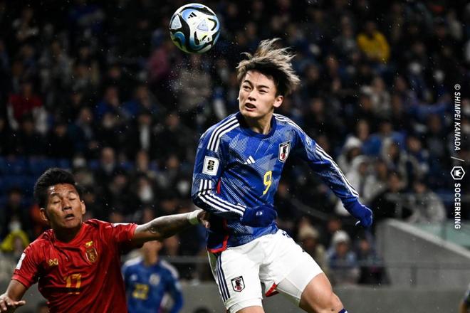 波黑中锋尤 波黑中锋尤