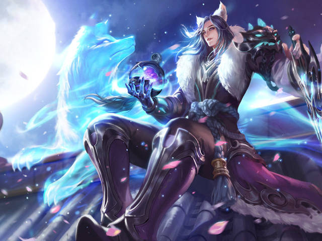 段多项数据 段多项数据