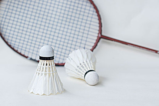 旺达之行 旺达之行