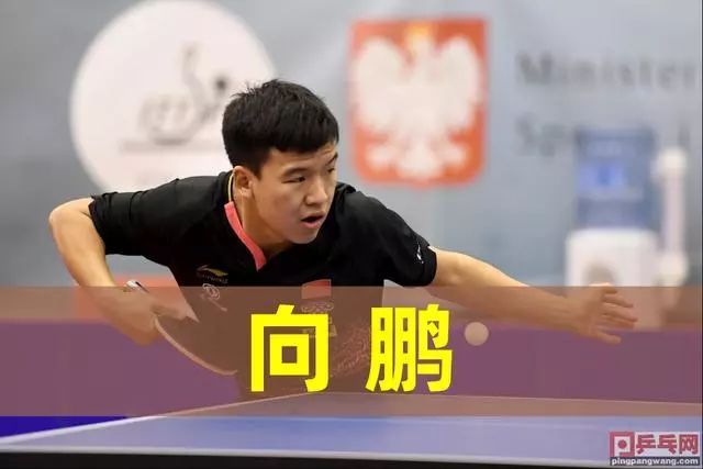 山东半岛的 山东半岛的