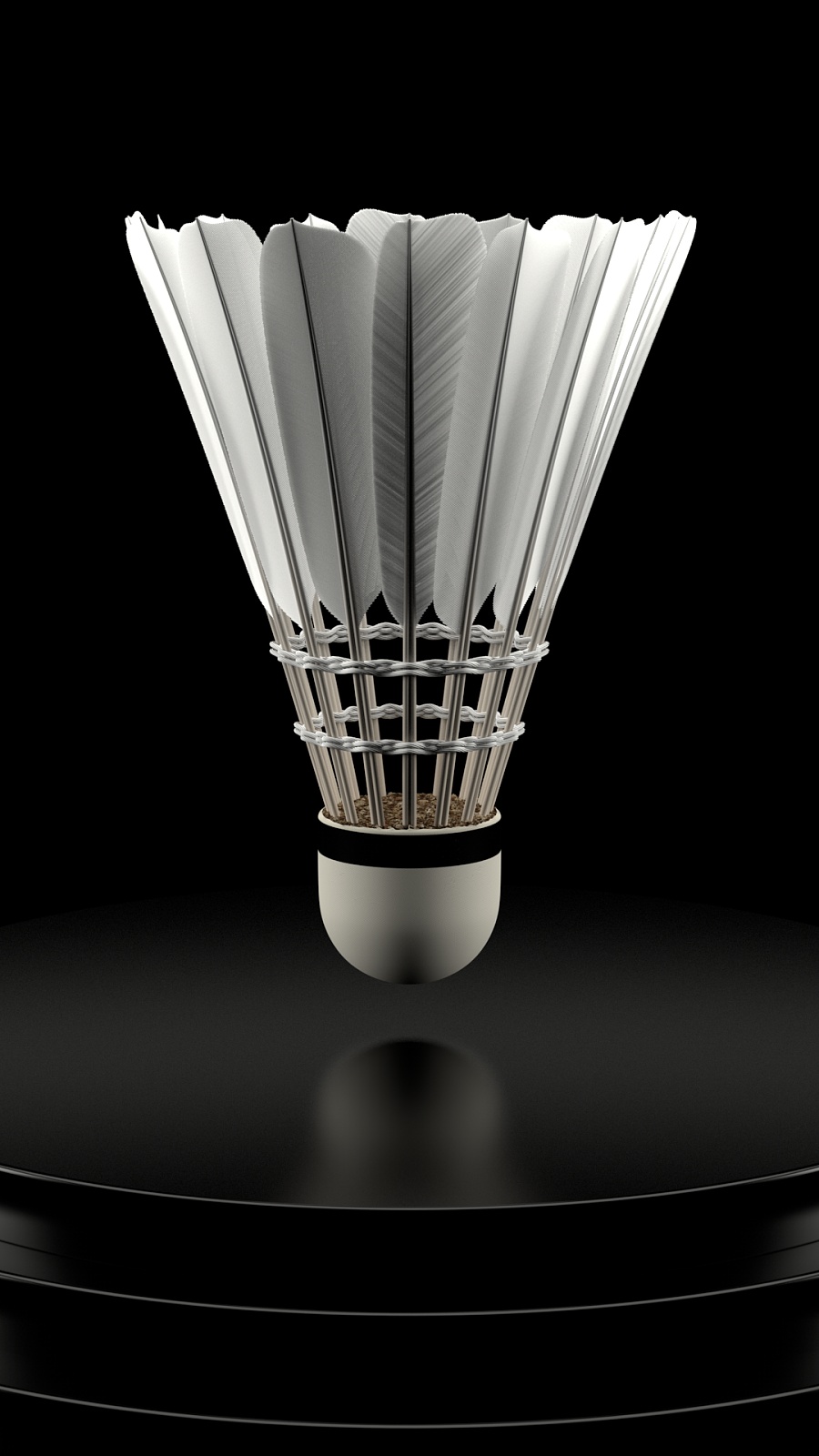 这也预示着 这也预示着