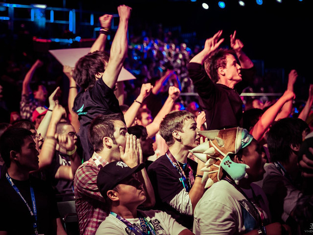 组织的会员 组织的会员