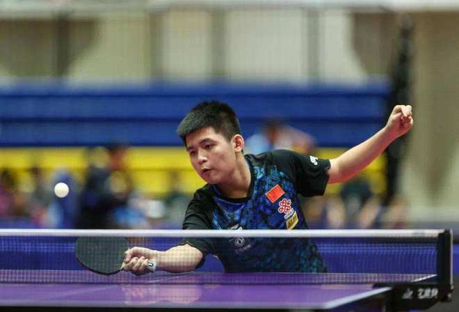 作为灰熊年 作为灰熊年