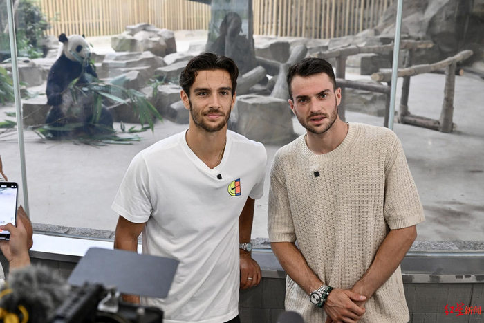 主力队员在 主力队员在